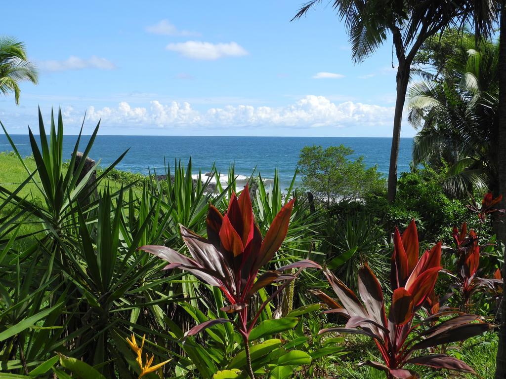 Casas Pelicano Playa Junquillal Екстериор снимка