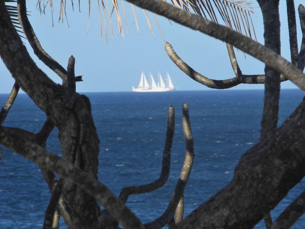 Casas Pelicano Playa Junquillal Екстериор снимка